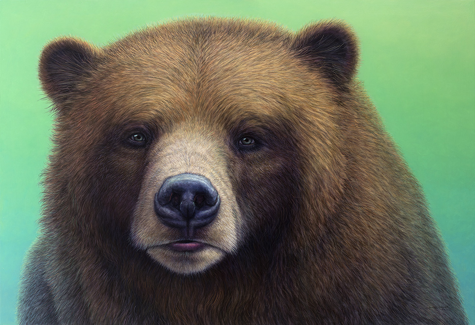 Green-eyed Bear